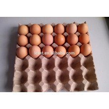 En mayo, el precio de promoción del cartón de huevos de 30 hoyos es el más bajo